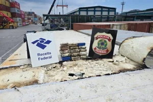 PF apreende 615 kg de cocaína escondida em cargas de banana e amendoim no Porto de Santos